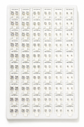 Set of small square earrings with a brand label on a white background