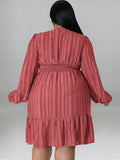 Plus size jacquard V-neck striped long-sleeved dress - D'TWINS FASHION