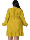 Plus size jacquard V-neck striped long-sleeved dress - D'TWINS FASHION